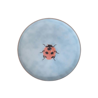 Insect collection porcelain plate