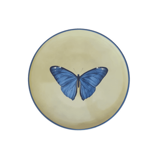 Insect collection porcelain plate