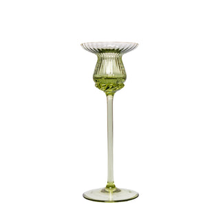 Tulipán candlestick green olive