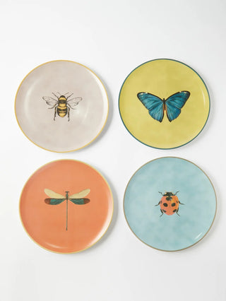 Insect collection porcelain plate