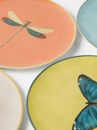 Insect collection porcelain plate